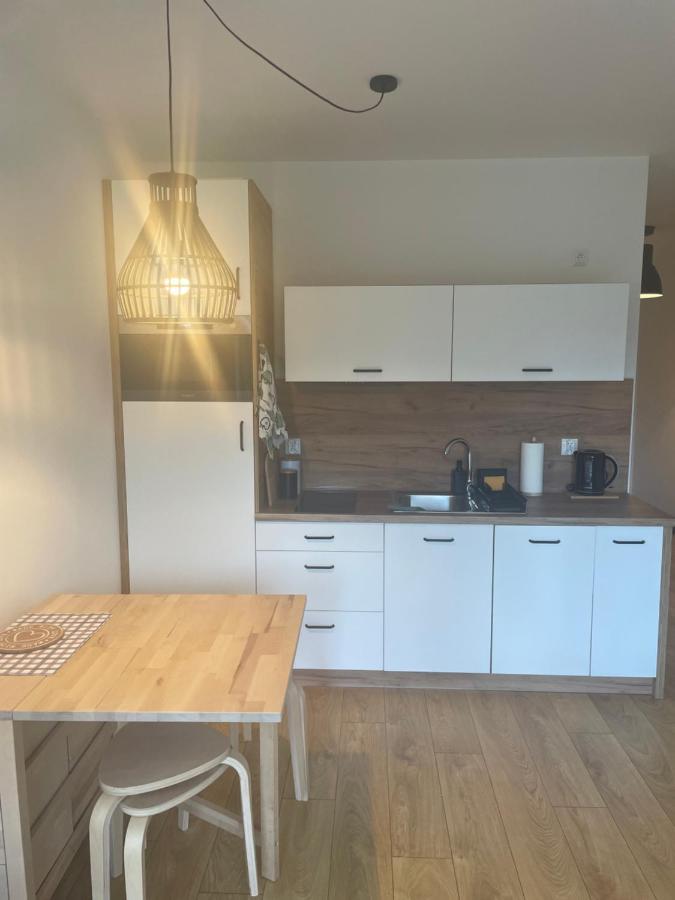 ויסלאו Apartament Kuba Na Spokojnej מראה חיצוני תמונה