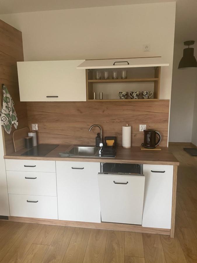 ויסלאו Apartament Kuba Na Spokojnej מראה חיצוני תמונה